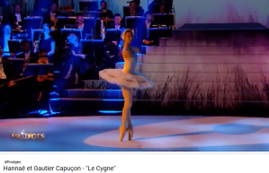 le cygne saint-saëns