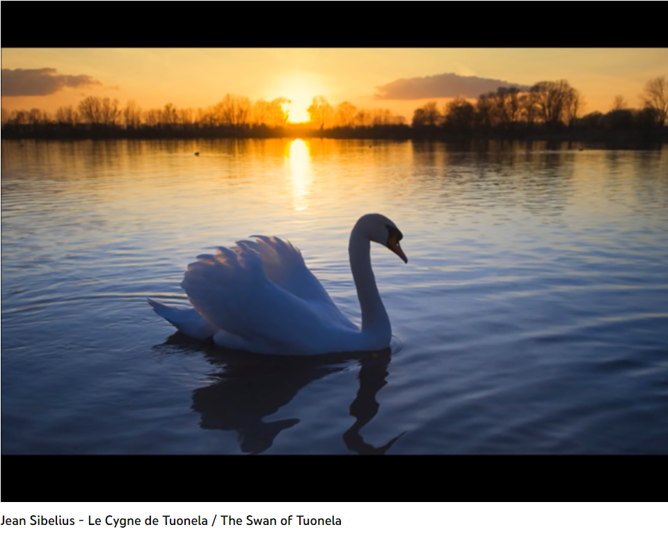 Sibelius le Cygne de Tuonela