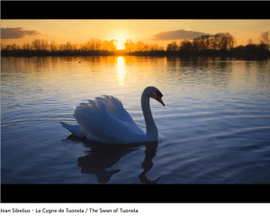 Sibelius le Cygne de Tuonela