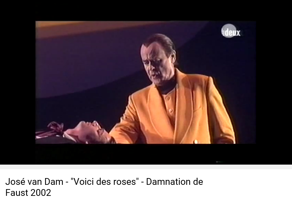 voici des roses