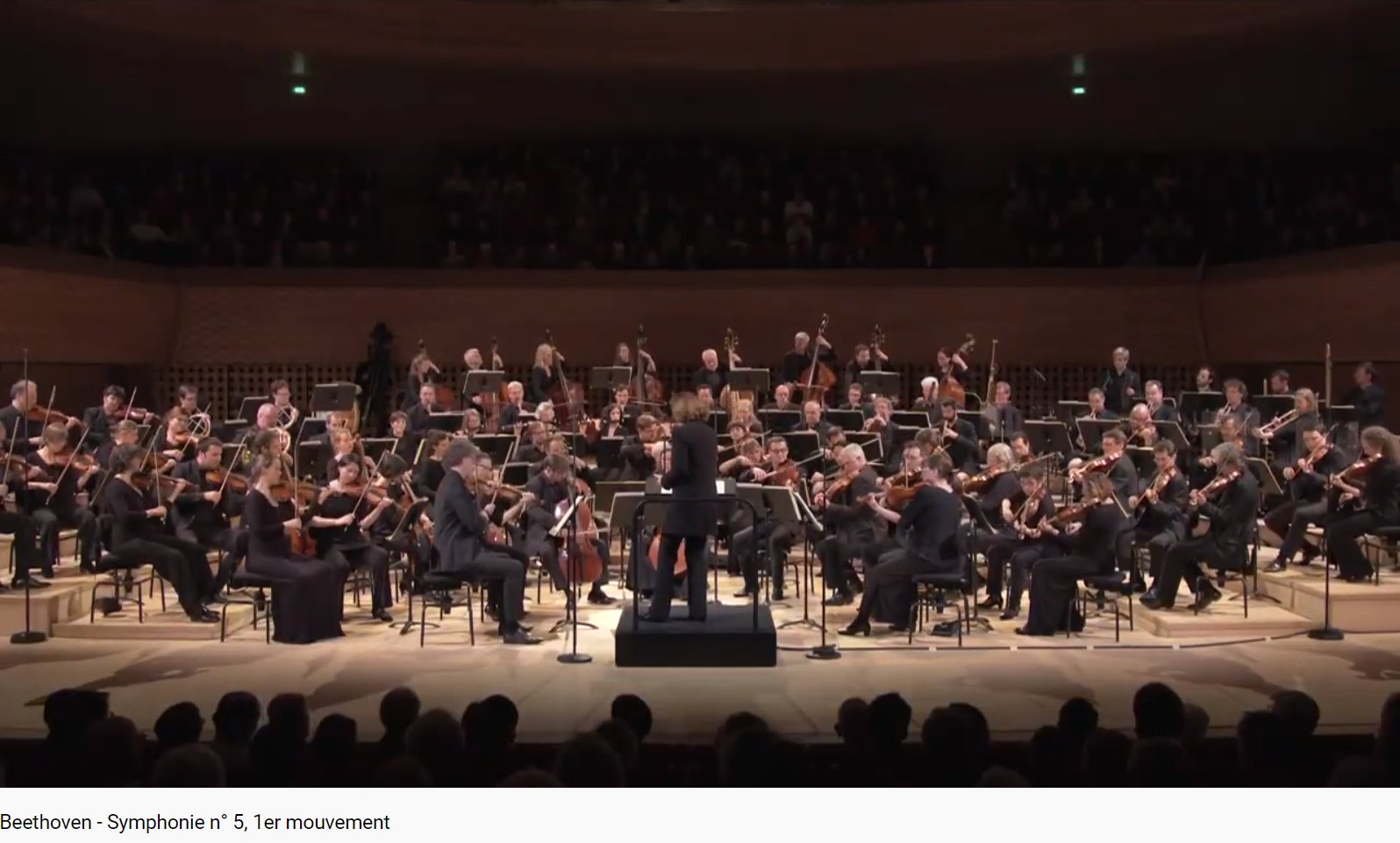 Beethoven 5e symphonie début