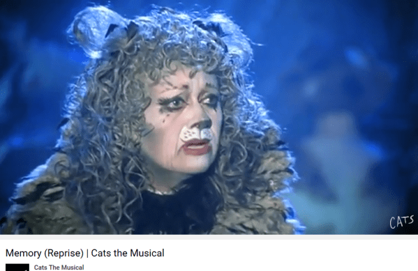 Cats the musical Memory
