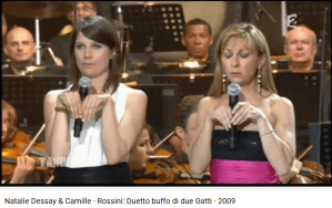 havre caumartin duo des chats