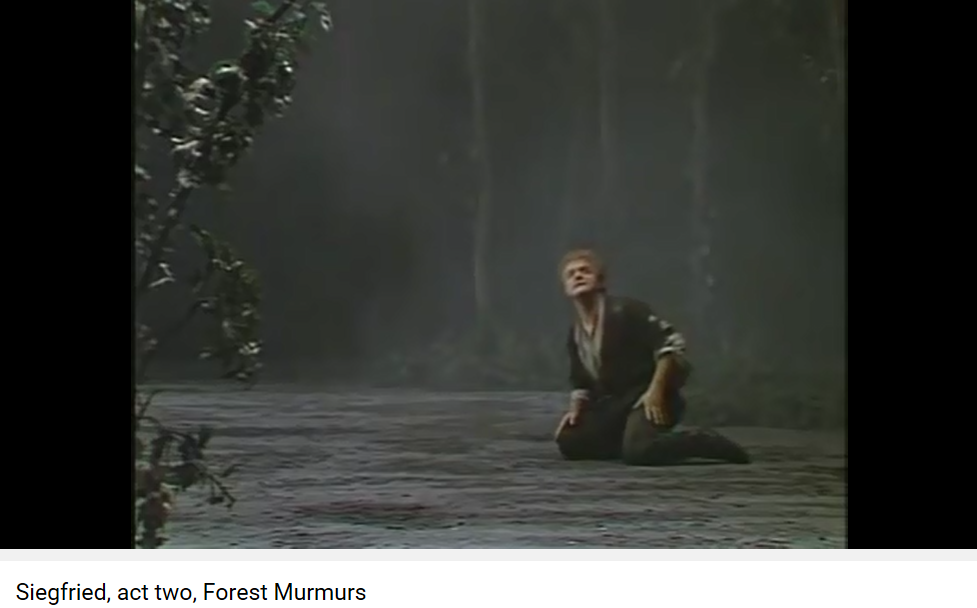 wagner siegfried murmures de la forêt