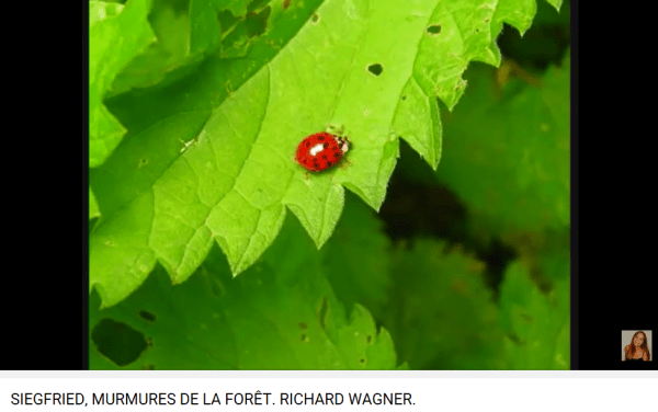 Wagner Siegfried murmures de la forêt 2