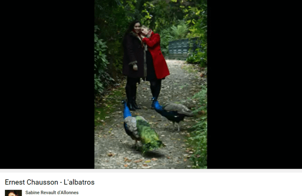 Chausson Baudelaire l'Albatros