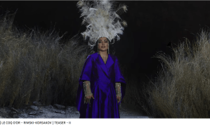 Rimski-Korsakov le Coq d'or