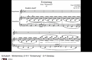 Schubert Winterreise Erstarrung
