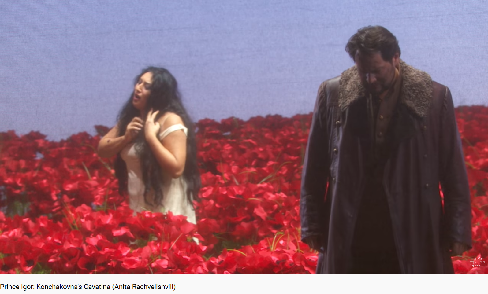 Borodine Prince Igor MET