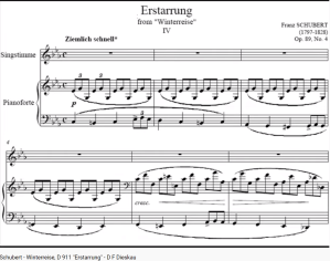 Schubert Winterreise Estarrung