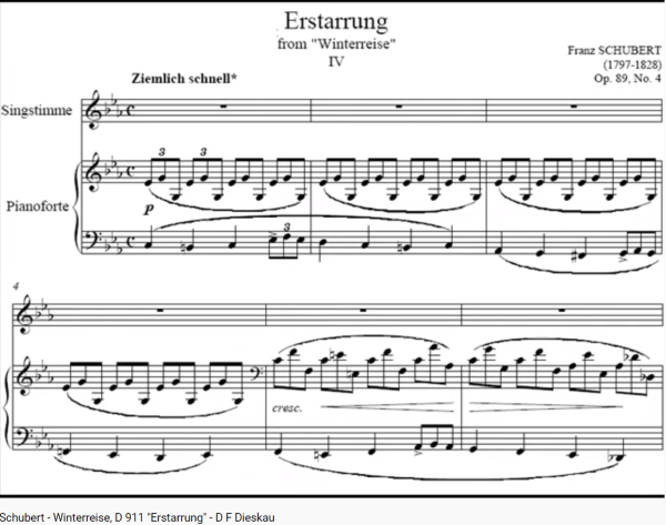Schubert Winterreise Estarrung