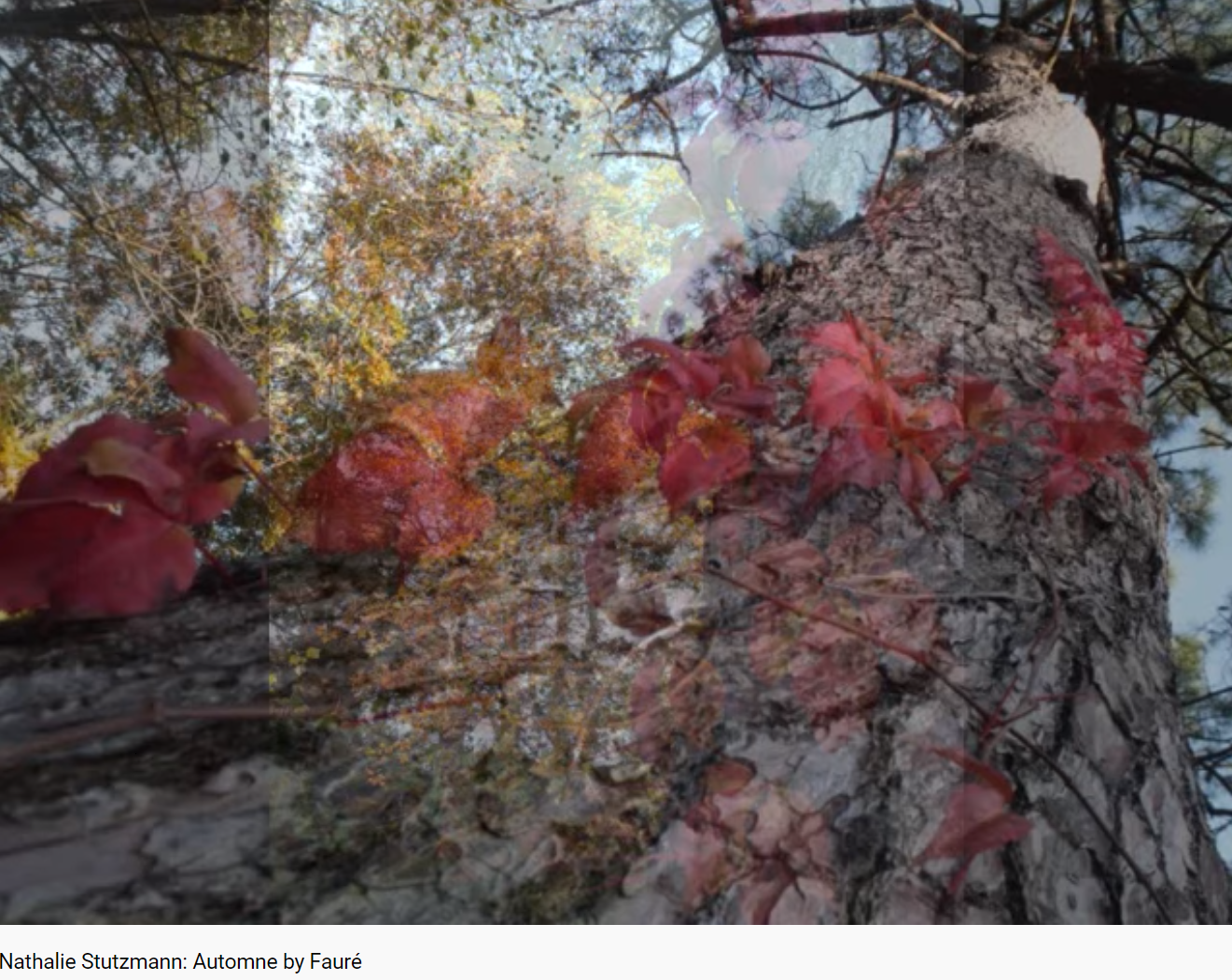 Fauré Automne d'Armand Sylvestre