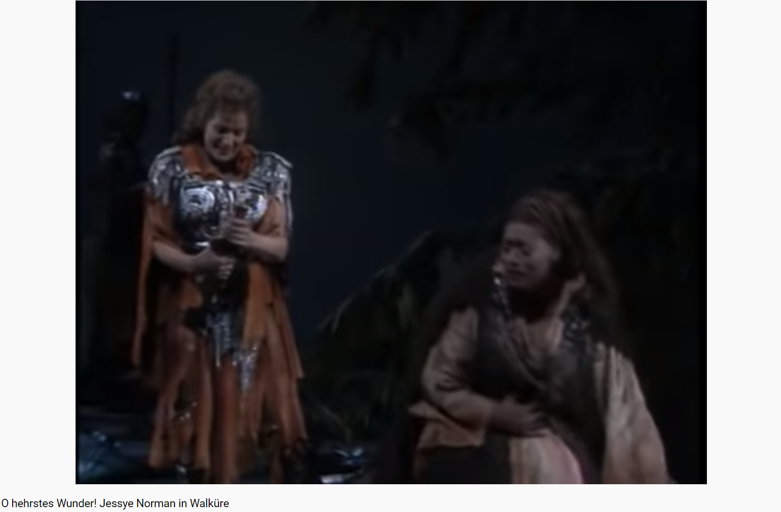 Wagner die Walküre O hehrstes Wunder (MET 1989)