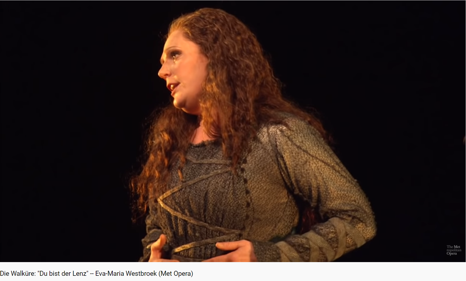Wagner die Walküre (MET 2011)
