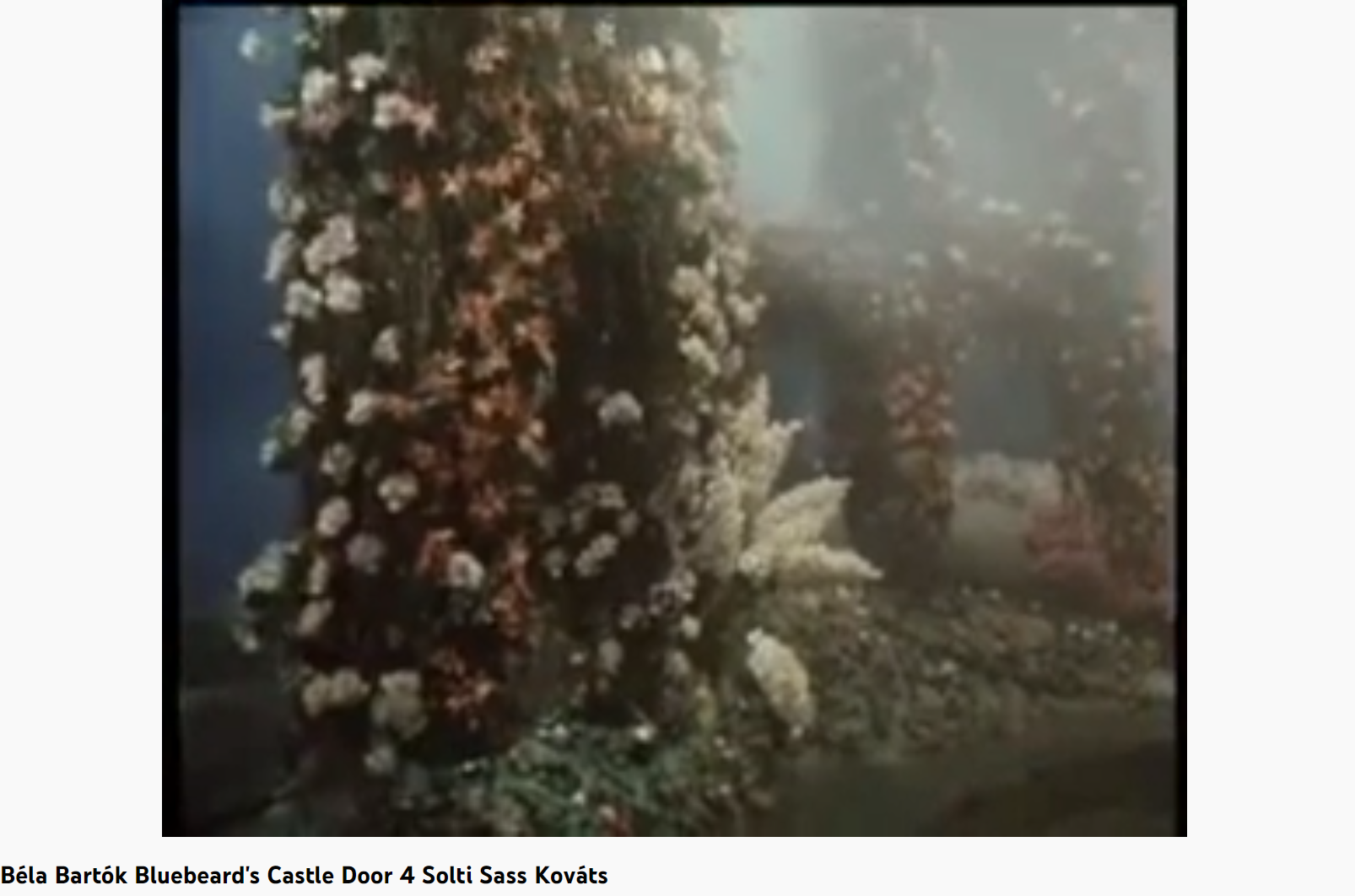 Bartok le Château de Barbe bleue la porte 4 (le jardin)