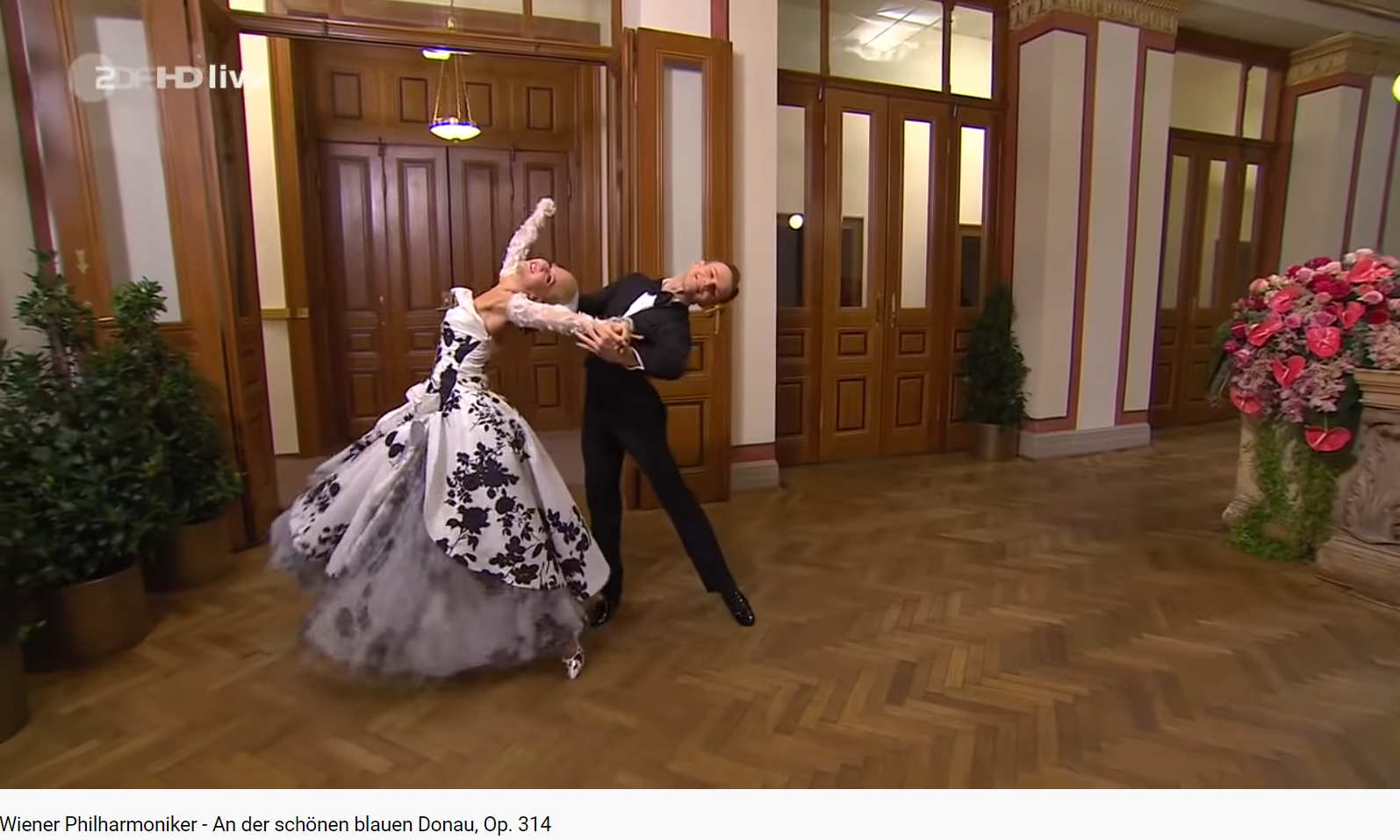 Strauss le beau Danube bleu