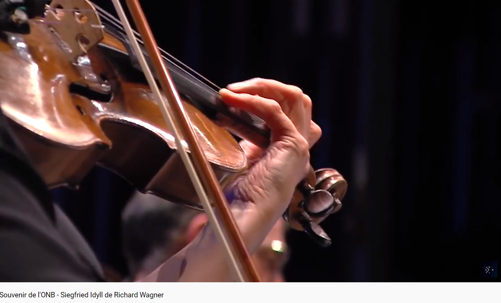 Wagner Siegfried Idyll
