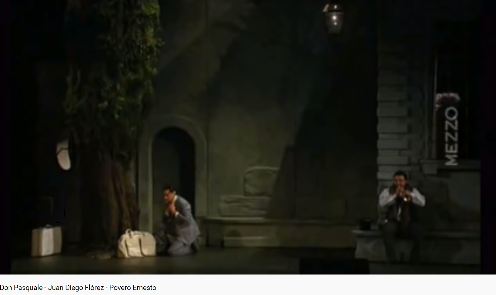 Donizetti Don Pasquale Povero Ernesto