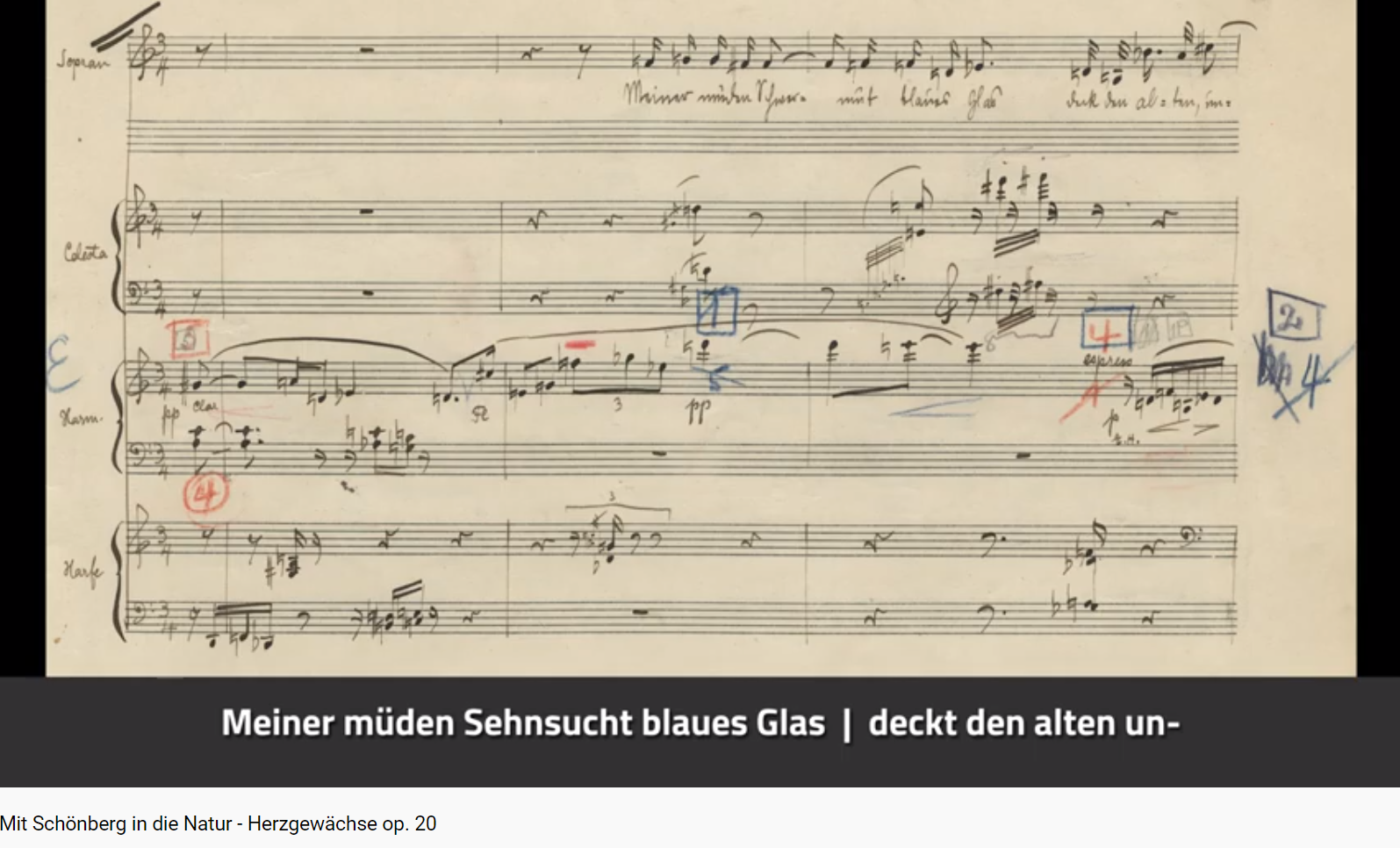 Schönberg Herzgewächse op 20