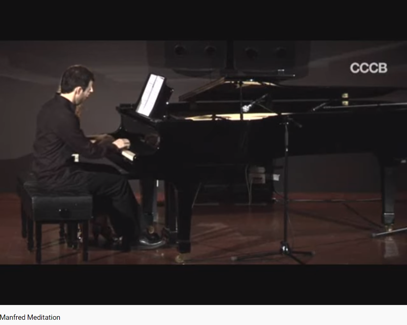 Nietzche Manfred meditation