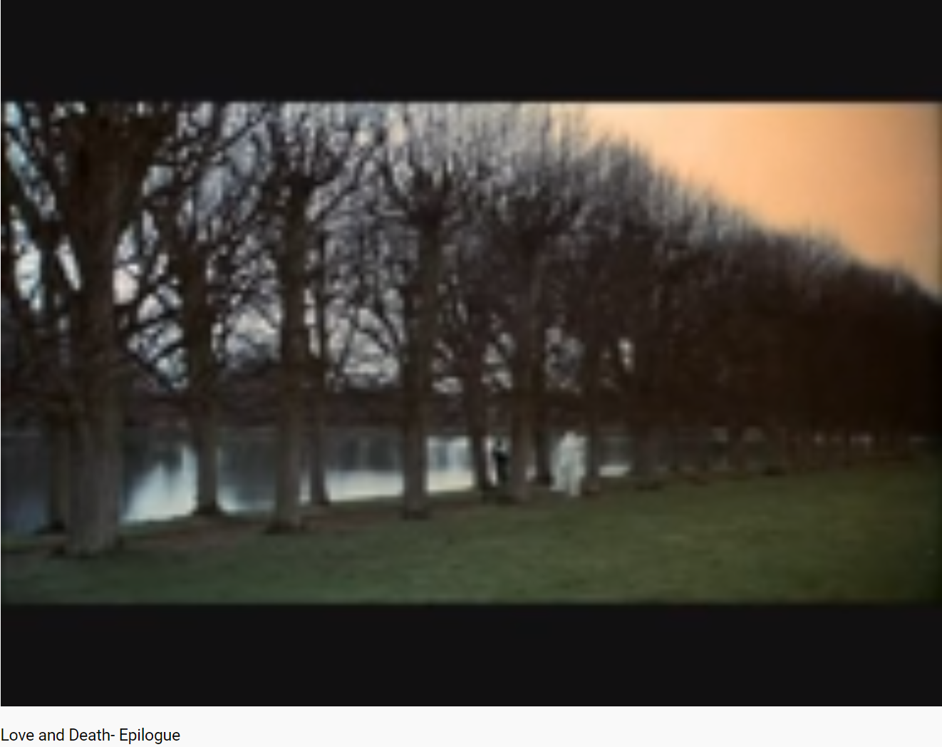 Allen War and Death the End