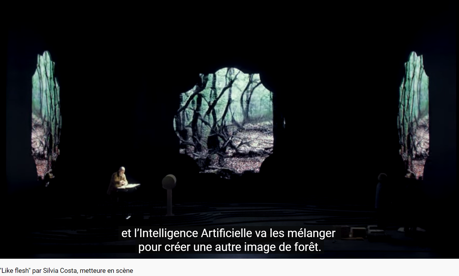 Eldar Like Flesh inteview Silvia Costa