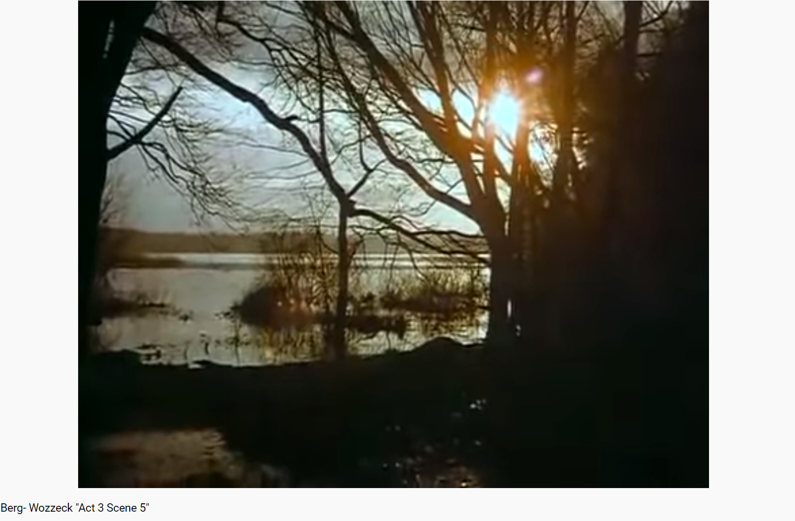 Berg Wozzeck Act III scene 5