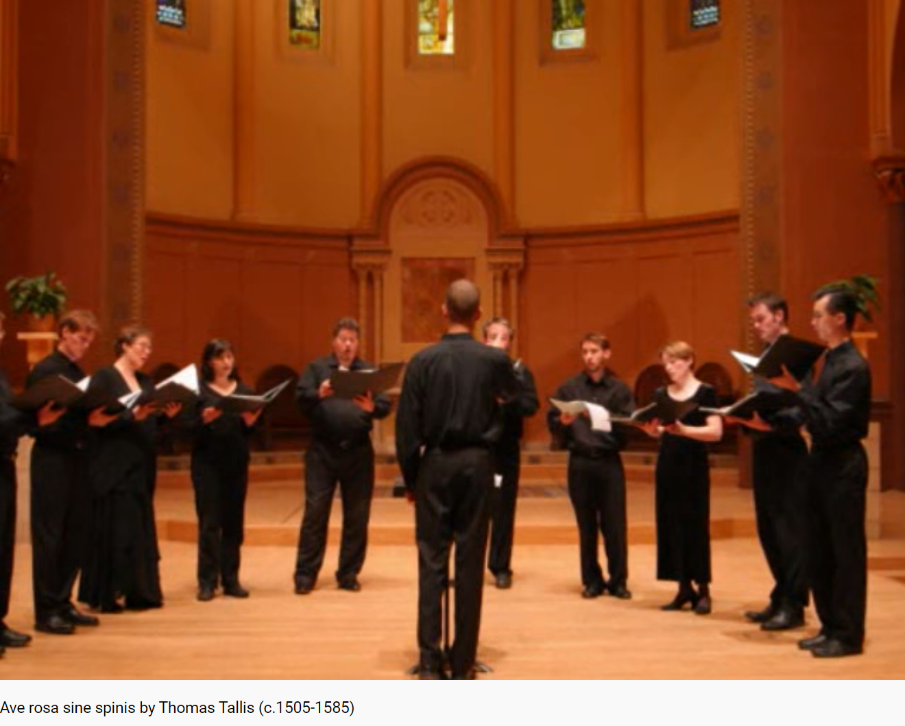 Tallis Ave rosa sine spinis