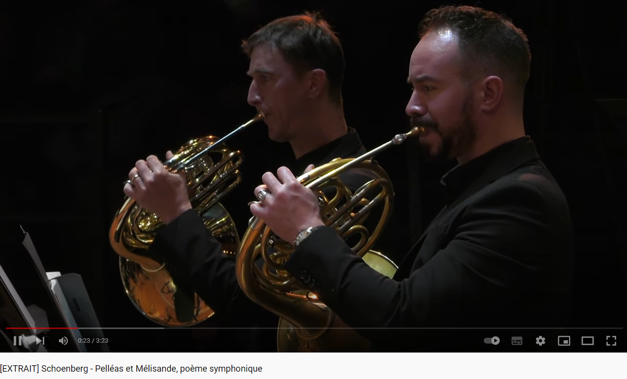 Schoenberg Pelléas et Mélisande