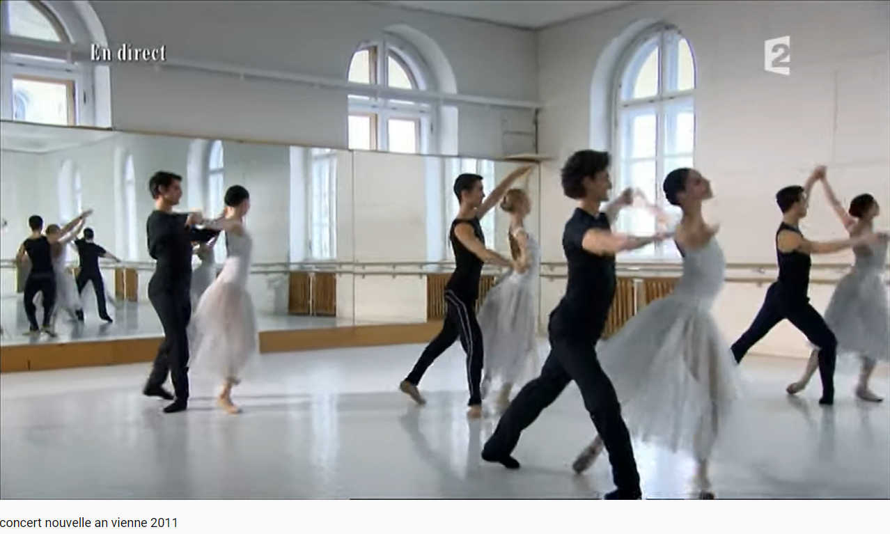 Strauss Concert du nouvel an Vienne 2011