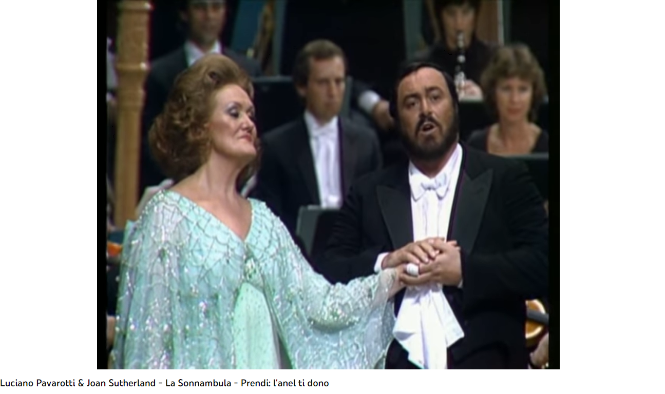 Bellini la Sonnambula Prendi l'anel ti dono