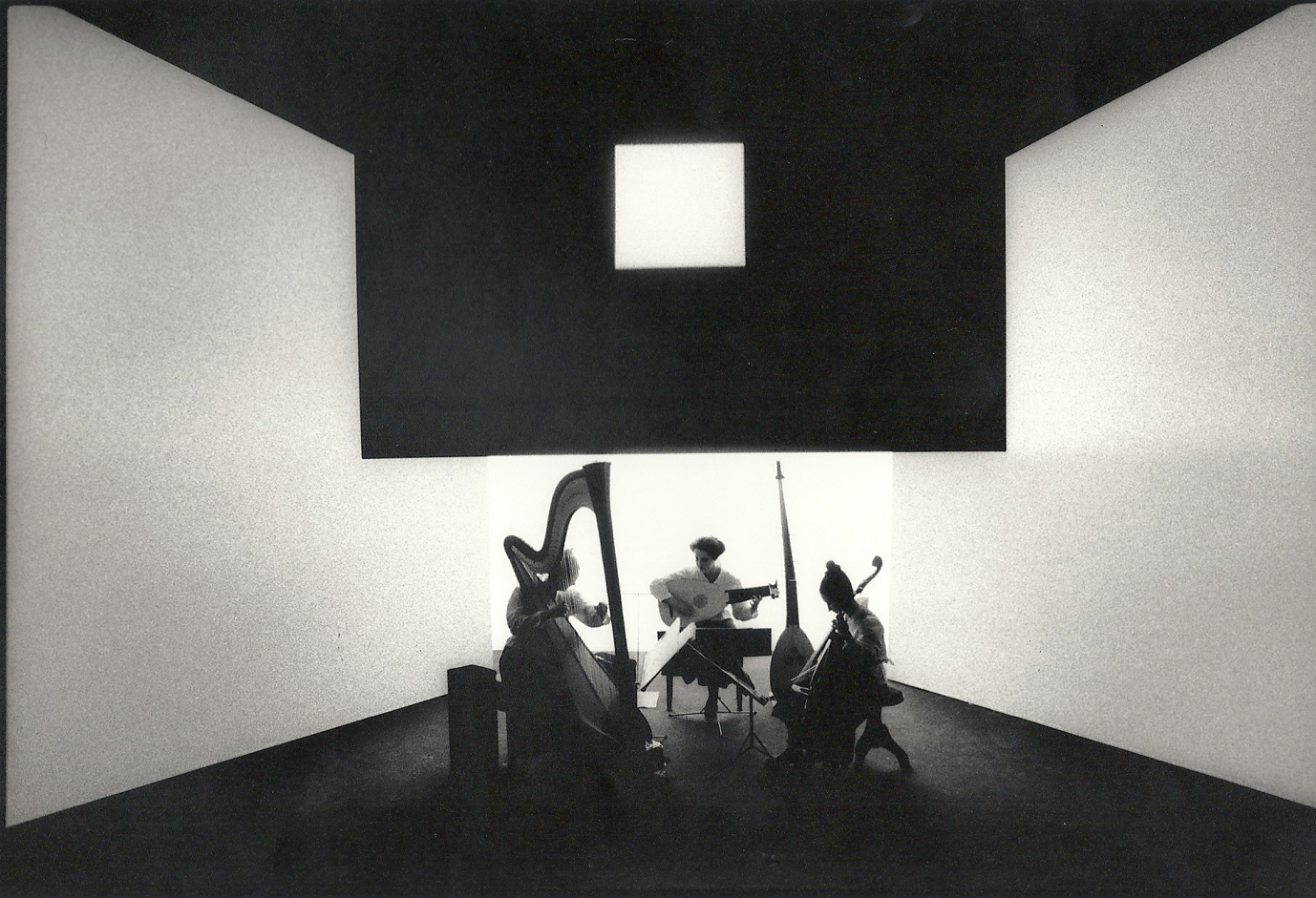 Renard Brèves d'été