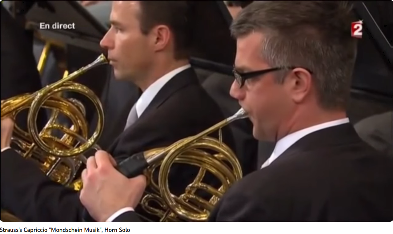 Strauss Mondscheinmusik (Mélodie du Clair de lune)